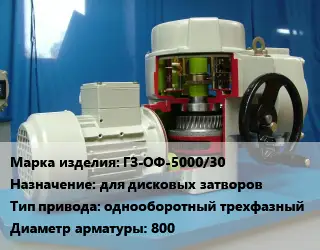 Электропривод ГЗ-ОФ-5000/30 для дисковых затворов однооборотный трехфазный 800